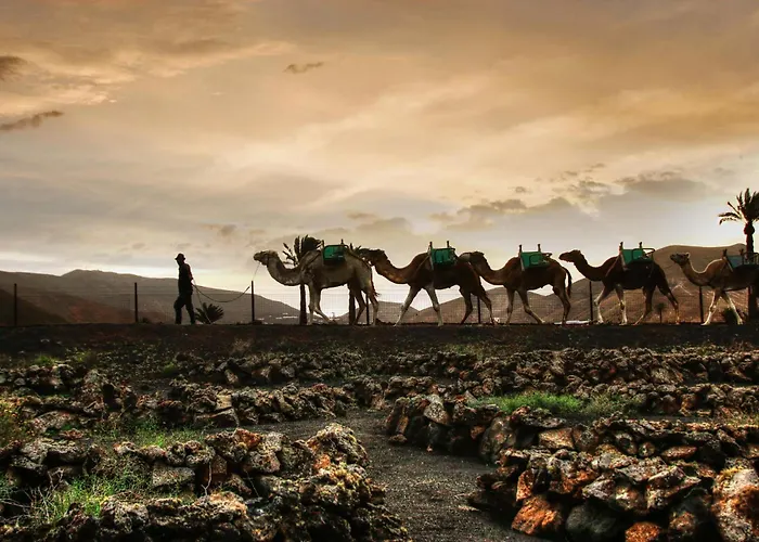 Home2book Stylish Caleta De Caballo, Terrace 公寓