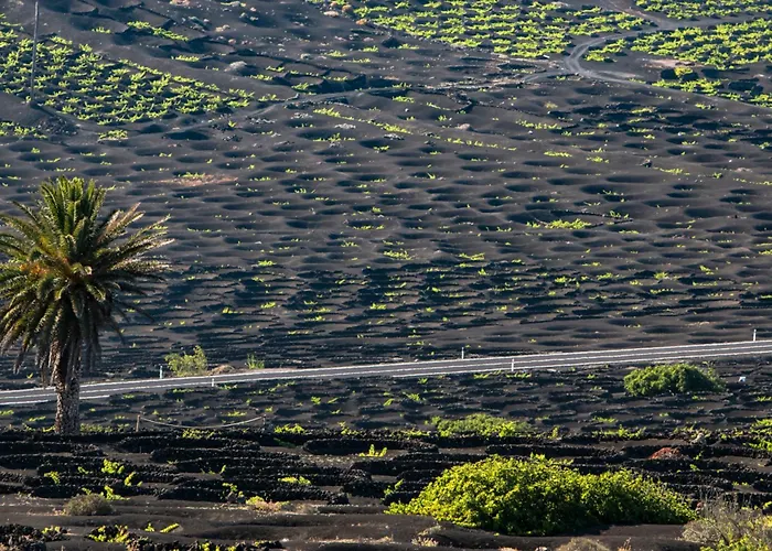 Home2book Stylish Caleta De Caballo, Terrace * Caleta de Caballo